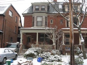 Aziatische klauwotters zijn erg actief